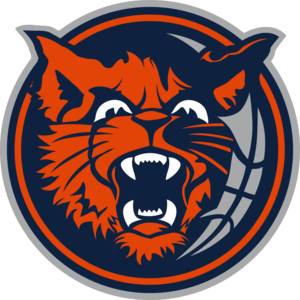 /organization-details?id=2541