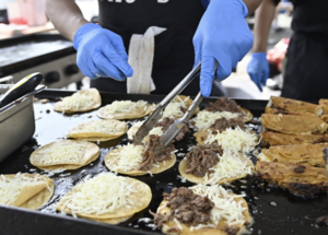 Program Logo Large view