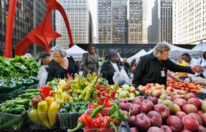 Program Logo Large view