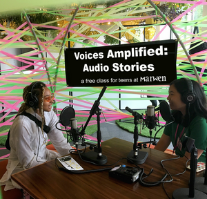 Program Logo Large view