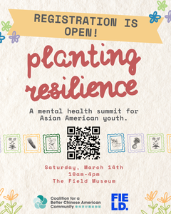 Program Logo Large view