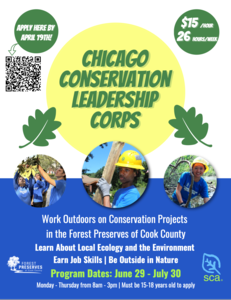 Program Logo Large view