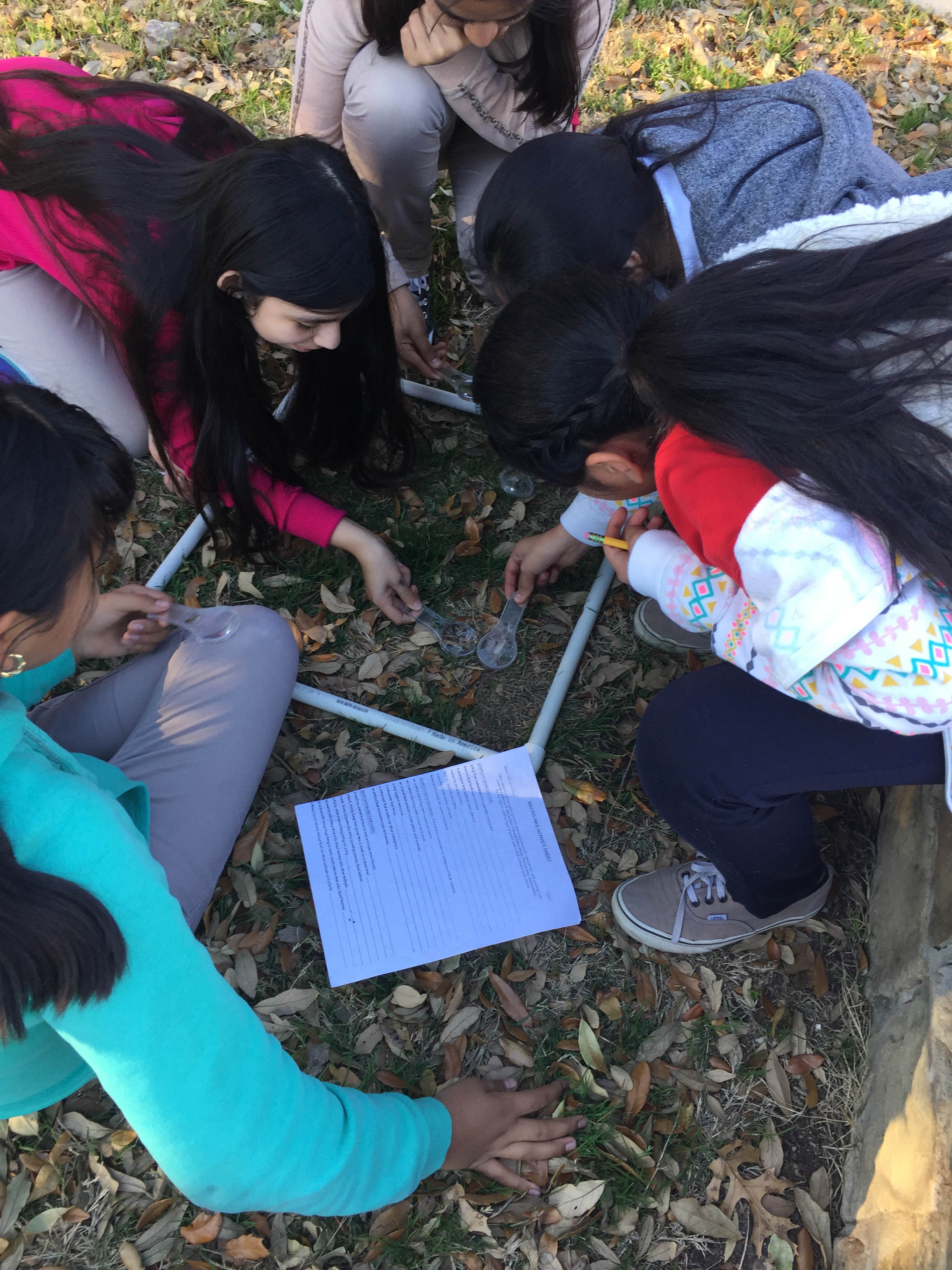 Program Logo Large view